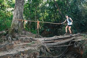 BIB: 
                            <button type="button" onclick="openModal(27753691)" class="btn btn-primary btn-sm float-right btn-popup" data-toggle="modal" data-target=".modal-high-quality">
                        <i class="fas fa-shopping-cart"></i> Add to Cart
                    </button>
                                            <button type="button" onclick="isThisMe(27753691, true)" class="btn btn-success btn-sm float-right btn-popup btn-isme hidden" data-toggle="tooltip" data-placement="bottom" title="นี่คือรูปของคุณใช่ไหม คลิกที่นี่เพื่อเอาเข้าอัลบั้ม">
                        <i class="fas fa-plus"></i> Add to album
                    </button>
                    <button type="button" onclick="isThisMe(27753691, false)" class="btn btn-warning btn-sm float-right btn-popup btn-isnotme hidden">
                        <i class="fas fa-ban"></i> Remove from album
                    </button>